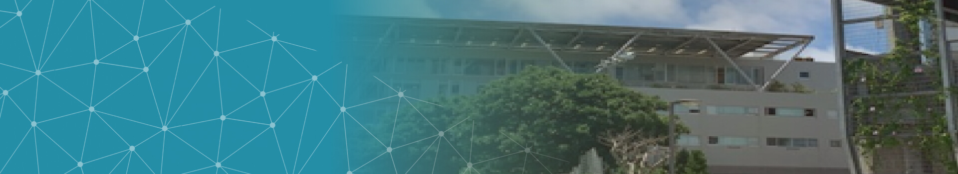 会社情報